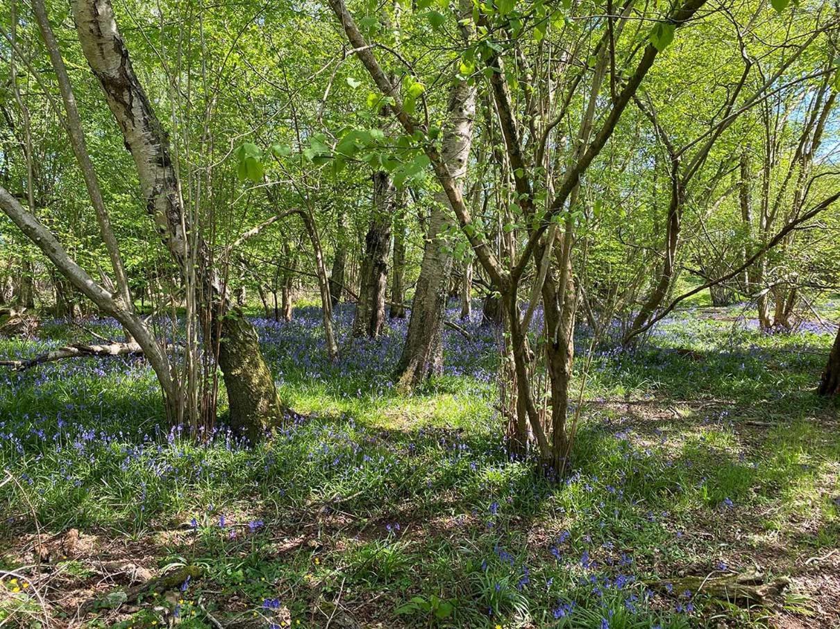 Nettlebed Farm Lets Barn3 Holiday home Durley