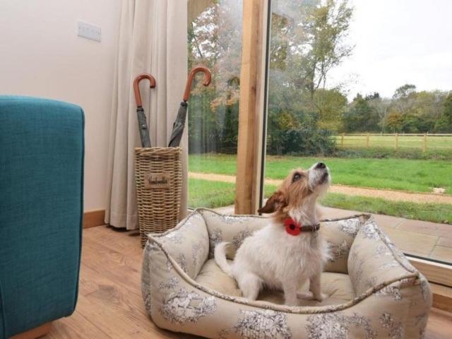 Nettlebed Farm Lets Barn3 *