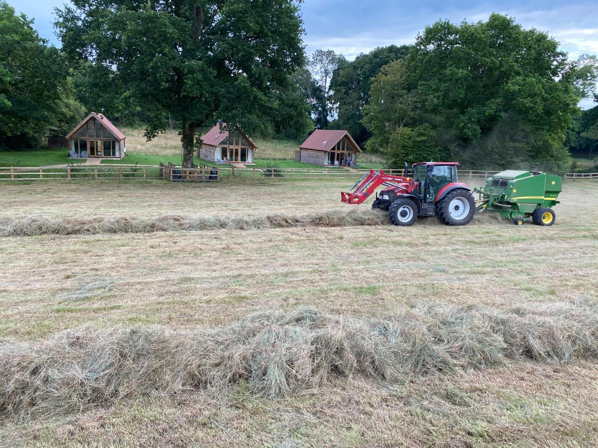 Casa vacanze Nettlebed Farm Lets Barn3